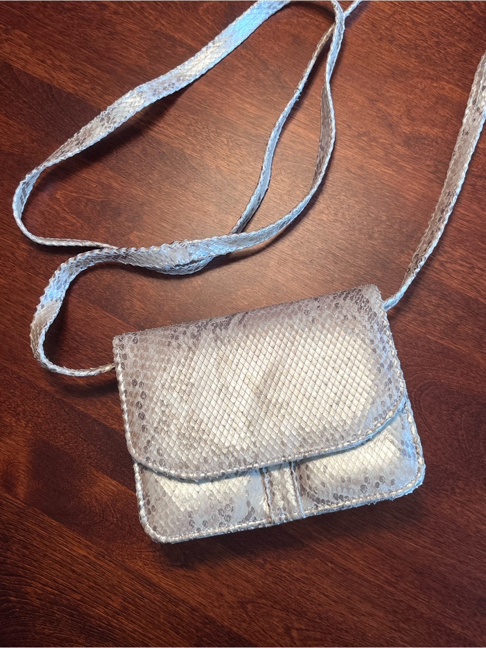 Arnold Churgin Snakeskin Silver Crossbody Bag